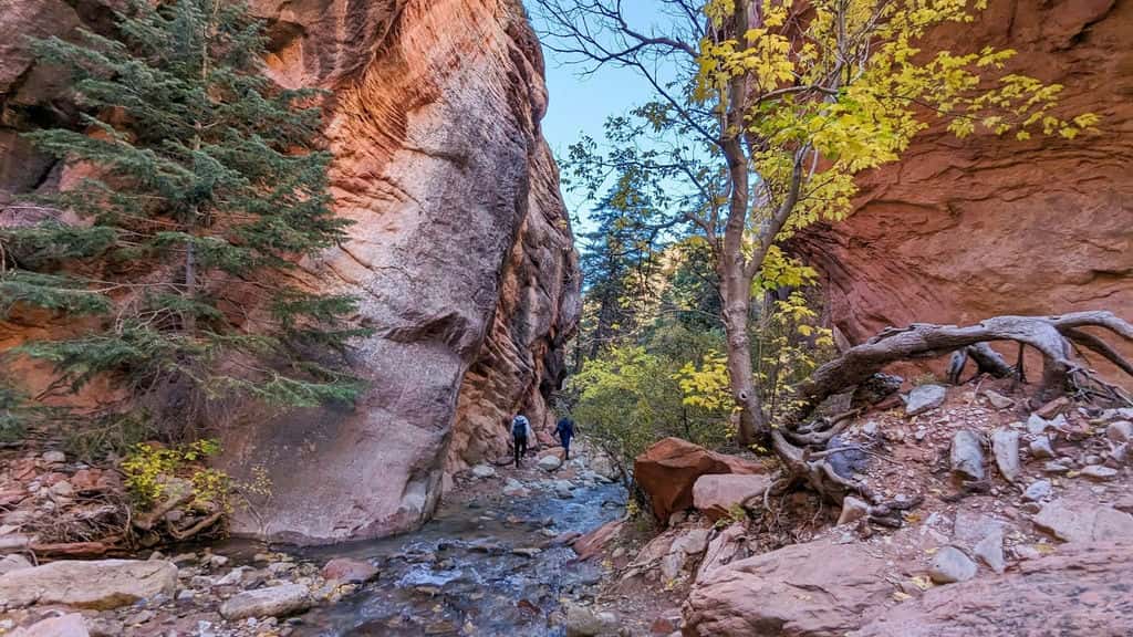 Hiking 