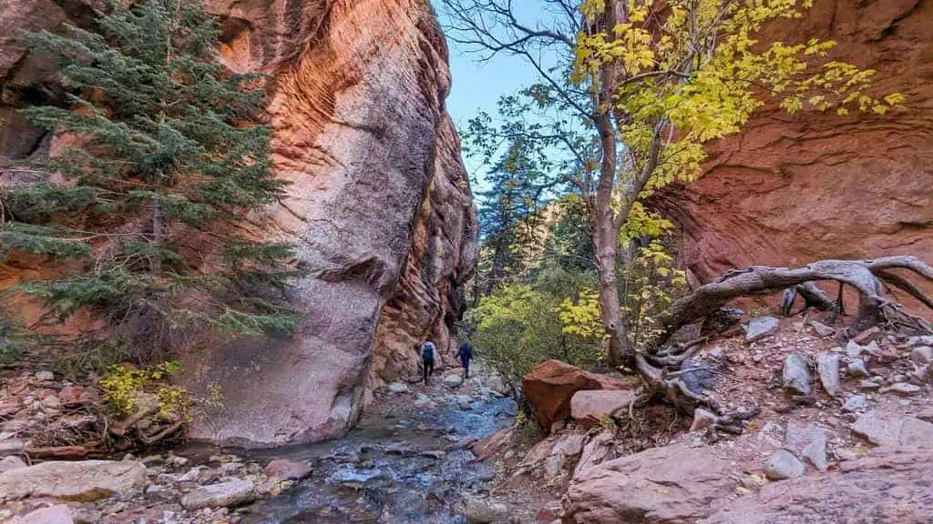 Hiking 