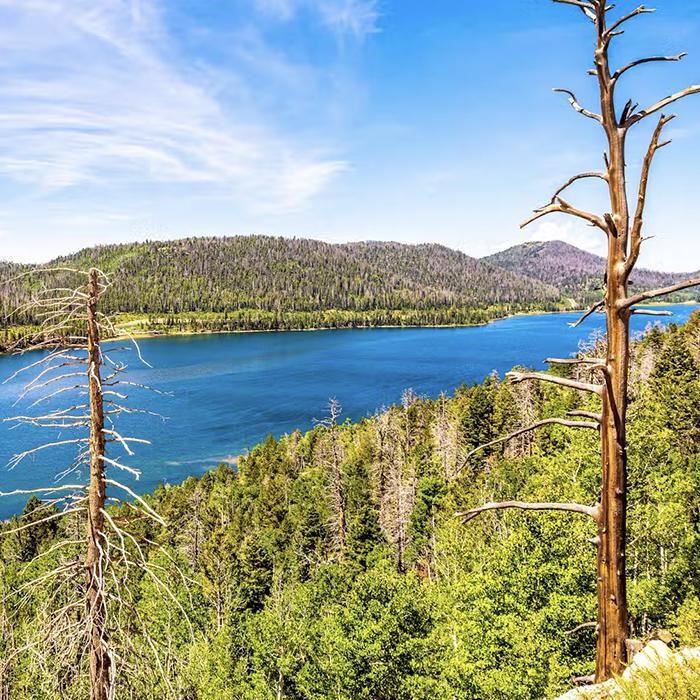 Navajo Lake 
