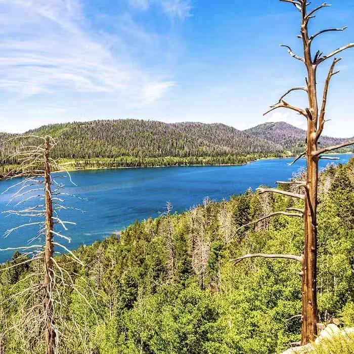 Navajo Lake 