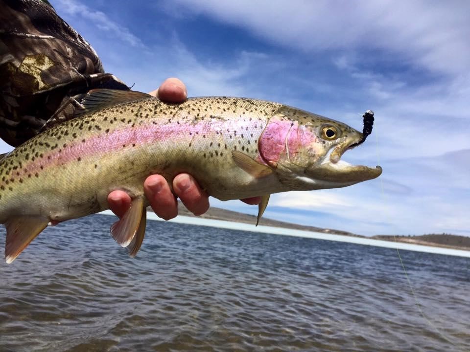 Panguitch Lake Fishing 