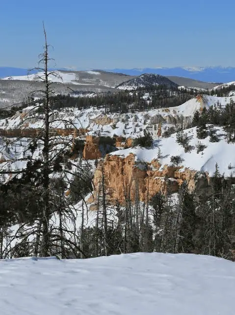 Cedar Breaks Stargazing