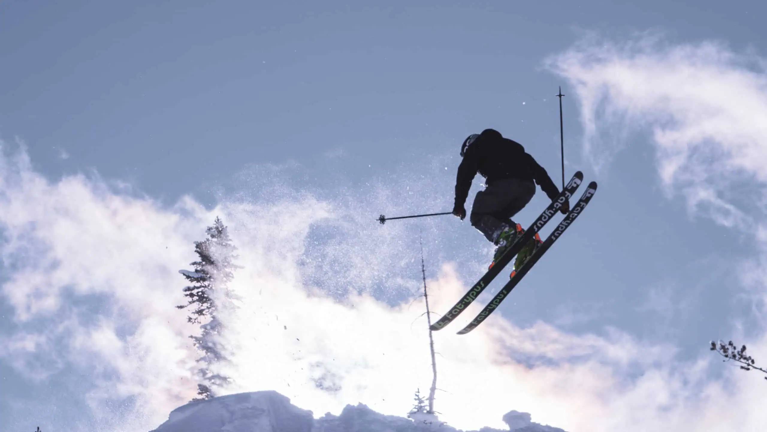 Cross-Country Skiing