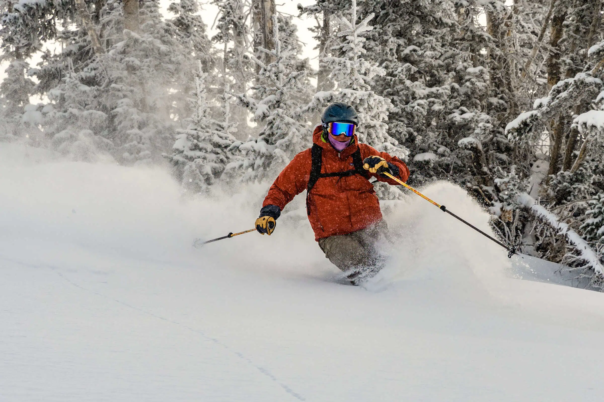 http://PowderDay.us  saemisch@me.com