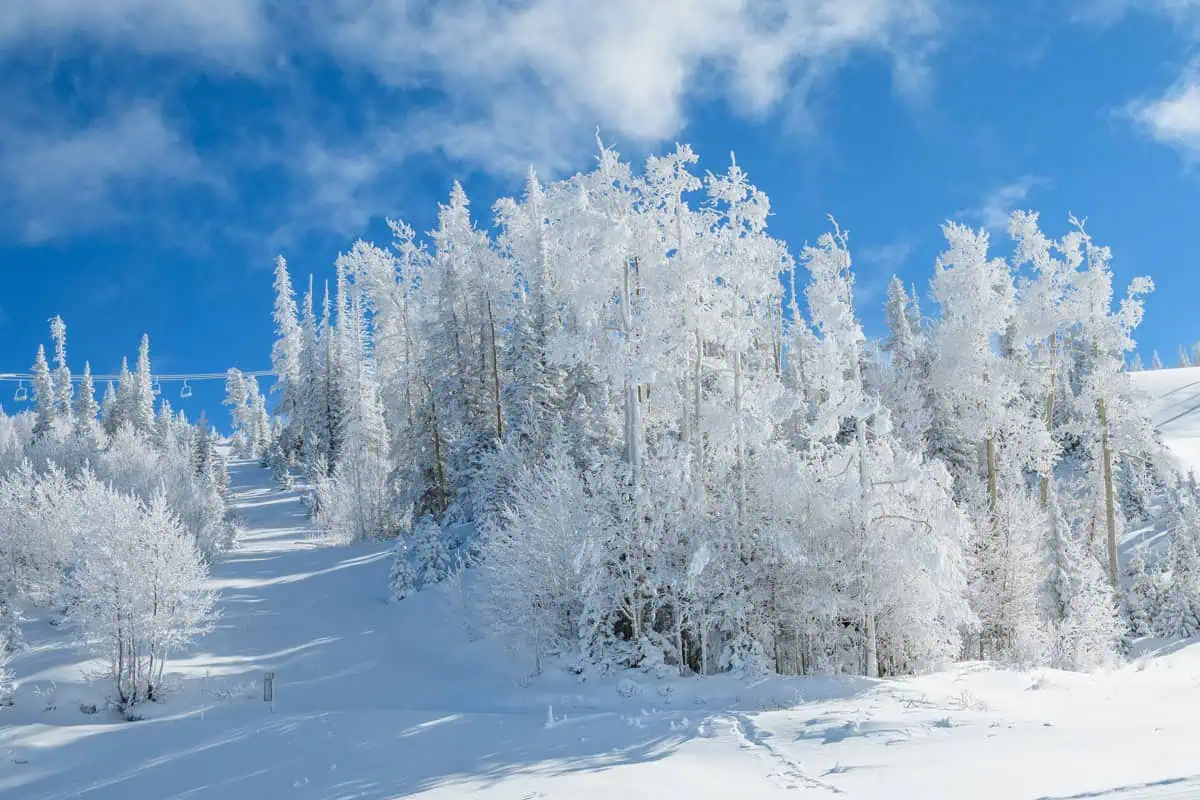 http://PowderDay.us  saemisch@me.com